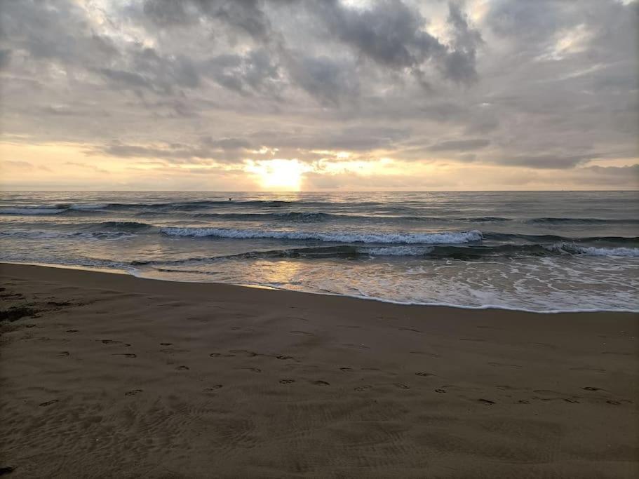 Chalet La Mer Veille 2 Gruissan Zewnętrze zdjęcie